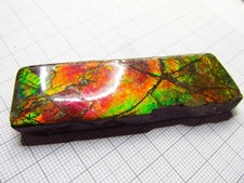 Großer Ammolit, Ammolith