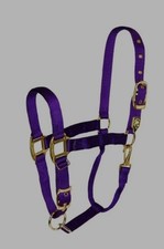 Hamilton Halfter Lila GR.S YEARLING