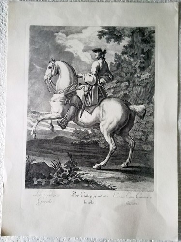 Johann elias ridinger - elias,