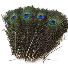 20x Natürliche Pfauenfedern