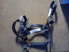 Monty Roberts Medium