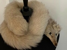 Blaufuchs Kragen Fuchs Echte Pelz mit Schnauze Länge 120 cm Zustand: Sehr Gut