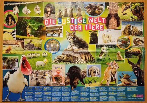 Wissens poster lustige welt - wissens-poster,