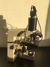 Zeiss Standard Mikroskop. Objektive 10x, 20x, 40x, 80x , Mit Kamera. Dunkelfeld