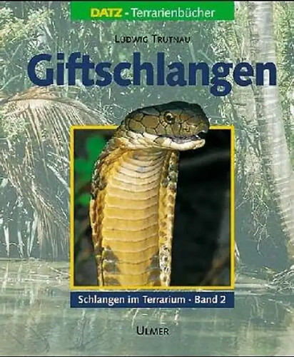 Schlangen terrarium - schlangen, im