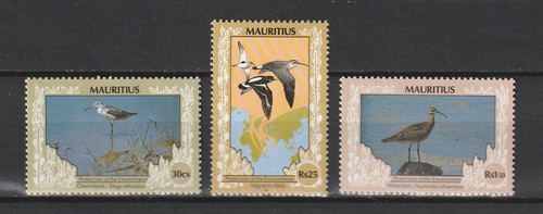 Insel mauritius - insel,