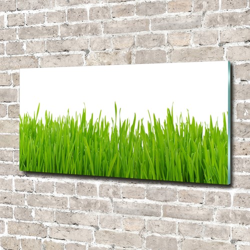 Glas bild wandbilder - glas-bild, auf