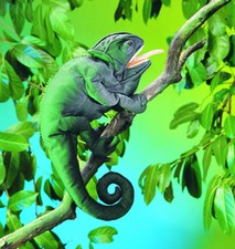 Handpuppe CHAMÄLEON Folkmanis