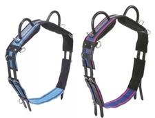 BUSSE Pony Longiergurt DOUBLE mit zwei Haltegriffen