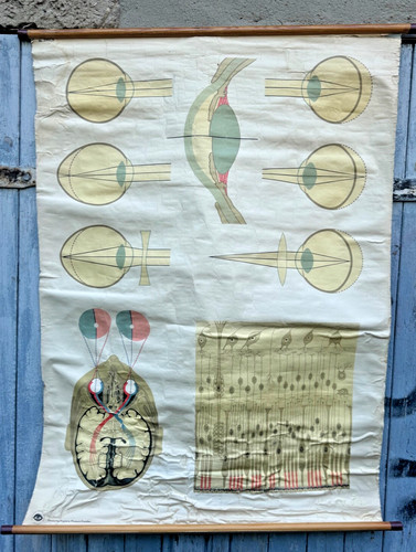 Alte schulwandkarte - alte,