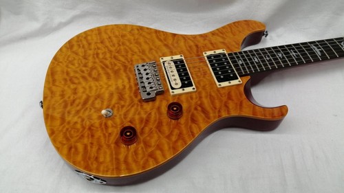 Paul reed smith 25th - paul,