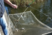 Monofiles Senknetz, Ghost