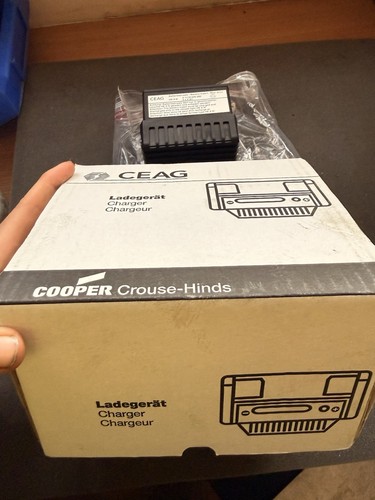 Ceag 483 ladegerät 5x he - lg,