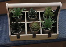 Landhaus Deko 6 Mini Kakteen aus Kunststoff in Holztray Flaschentrage Retro