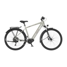 Trekking E-Bike 29 Zoll 55 cm