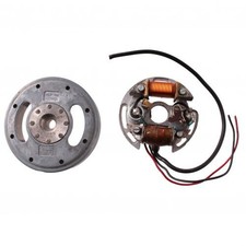 Schwungrad mit Stator Dansi