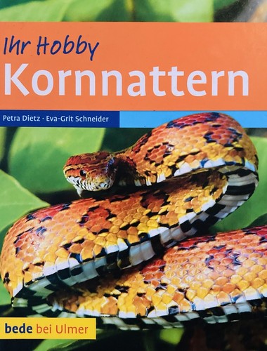 Kornnattern von dietz petra - kornnattern,