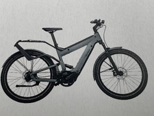 Herren EBike Riese und Müller
