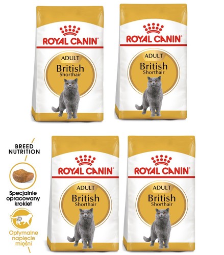 Royal canin british shorthair - british,