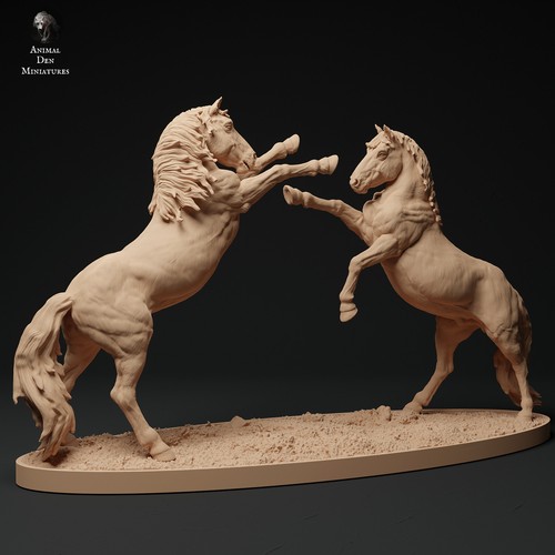 Konik pferde wildpferde - pferde, •