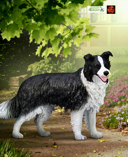 Border collie hund mit ball - hund,