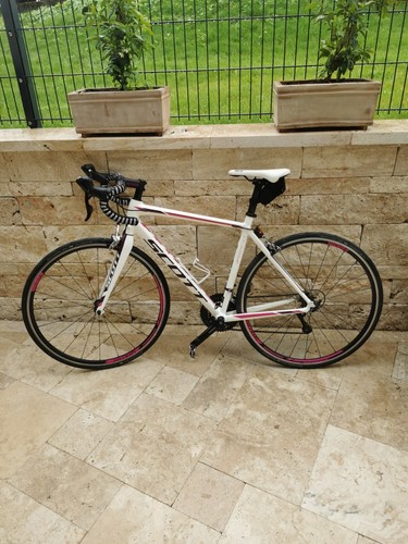 Scott contessa damenrennrad - scott,
