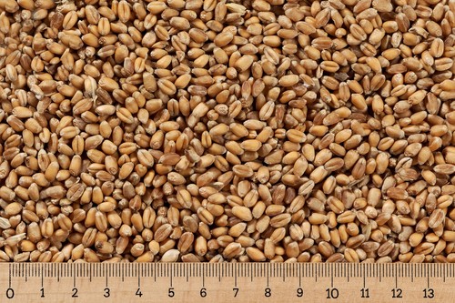 25 kg - 0,69, €/kg)
