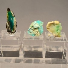 🌈Top Lot 3St. Collawood