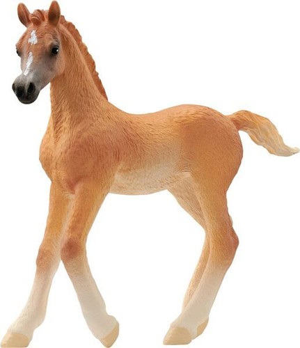 Schleich pferde araber fohlen - schleich,