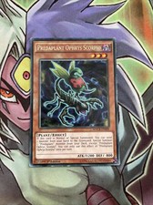 MACR-DE009 Predaplant Ophrys