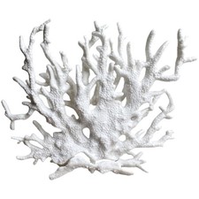 Aquarium Dekoration, Korallen