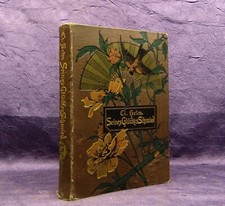 Helm Seines Glückes Schmied