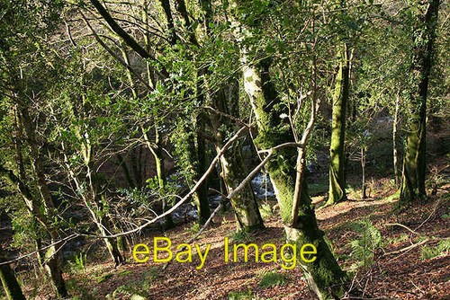 Foto 6x4 dulverton looseall - dulverton:,