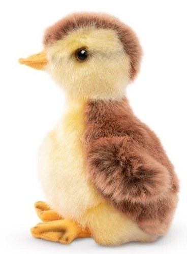 Stockenten küken 17cm - stockenten-küken,