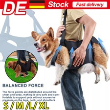 Hundetransporter älterer