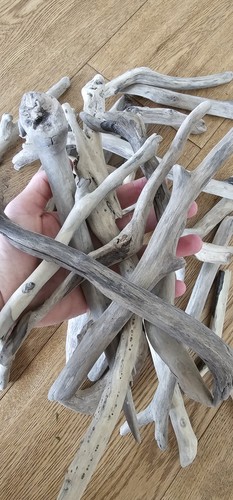 Tolles treibholz schwemmholz - tolles,