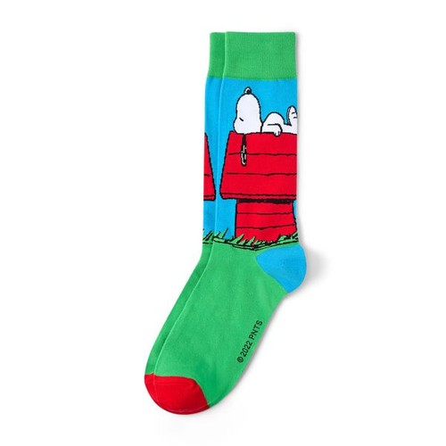 Snoopy socken doghouse 41 - snoopy, doghouse,