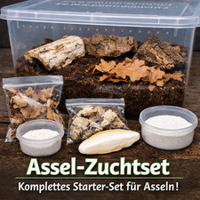 Asselzucht SET / für alle