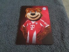 Maskottchen Berni