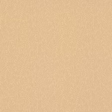 Rasch Tapete 252972 Vlies Landhaus Tapete Gräser Hellbraun PVC frei (2,60€/1qm)