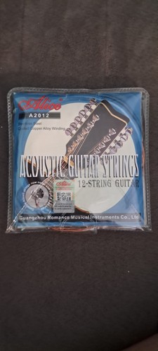 Alice a2012 string acoustic - a2012,