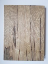 Tonholz Gitarre E-Gitarre Bass