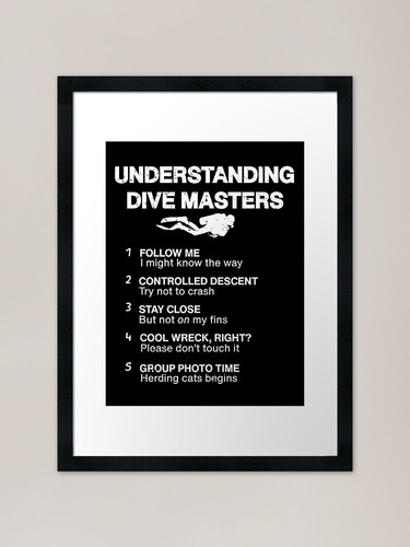 Understanding dive masters - understanding,