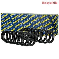 2x JAPANPARTS Fahrwerksfeder