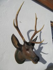 Hirschkopf Hirsch Kopf