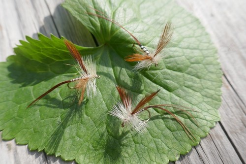 Maifliege variante 10 - variante, #