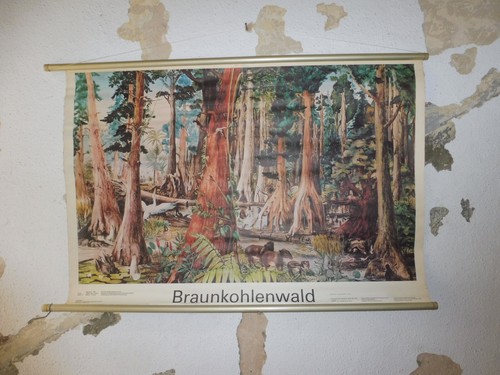 Alte rollkarte schulwandtafel - rollkarte,