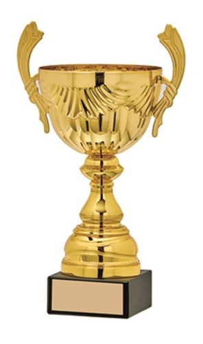 Personalisierter pokal - pokal,