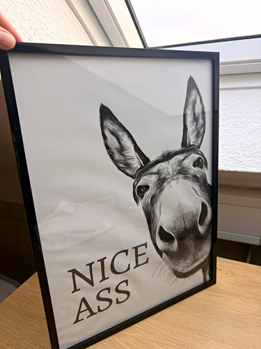 Wandbild gerahmt esel - esel, "nice