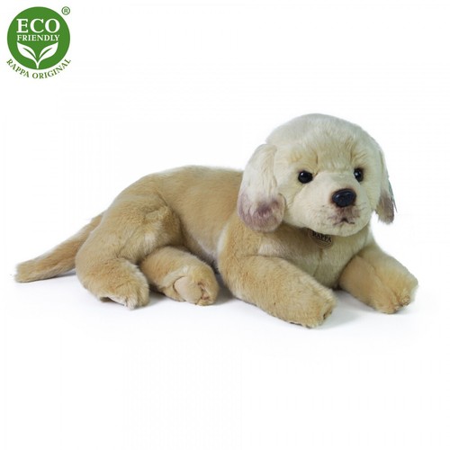 Golden retriever liegend cm - golden,